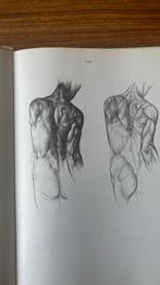 Anatomie voor de kunstenaar, Jeno Barcsay, 300 pagina’s, Ophalen of Verzenden, Gelezen, Schilder- en Tekenkunst