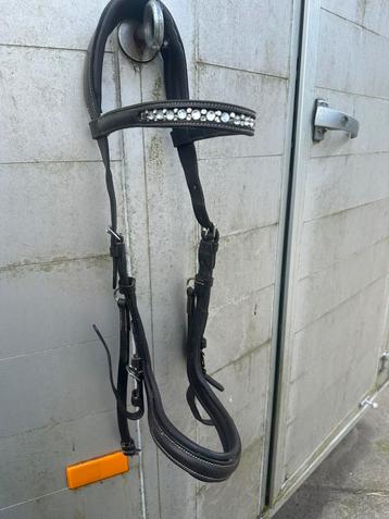 Hoofdstel bruin anatomisch mt COB beschikbaar voor biedingen