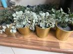 Small Plant pots and fake hanging plants 4, Ophalen of Verzenden, Zo goed als nieuw