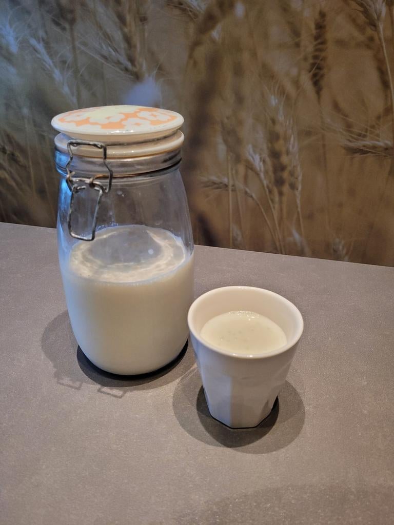 Melkkefir-korrels 30 gram, Diversen, Levensmiddelen, Ophalen