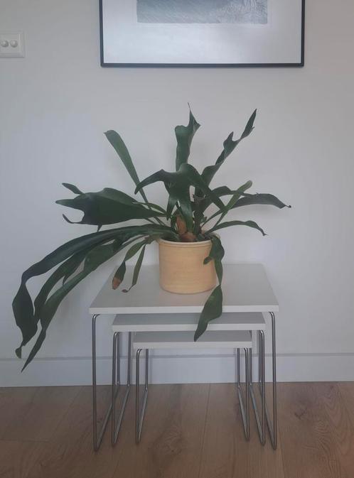 Vintage brabantia nesting tables - bijzettafels, Huis en Inrichting, Tafels | Bijzettafels, Gebruikt, Vierkant, Minder dan 55 cm