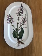 Botanica V&B schaal 23x39 cm. Salvia pratensis, Nieuw, Ophalen of Verzenden, Schaal of Schalen, Overige stijlen