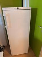 Ruime Liebherr No Frost vriezer - 6 laden, Witgoed en Apparatuur, Vriezers en Diepvrieskisten, 160 cm of meer, Zo goed als nieuw