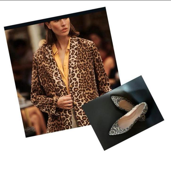 Gallucci super leuke ballerina’s tijger 39 NIEUW NP 194,50, Kleding | Dames, Schoenen, Nieuw, Ballerina's, Bruin, Ophalen of Verzenden