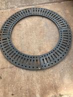 boomrooster rond 2 stuks, Bloeit niet, Overige soorten, Minder dan 100 cm, Ophalen