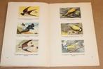 Kanis & Gunnink Vogelboekje [1954] — Compleet, Ophalen of Verzenden, Gelezen