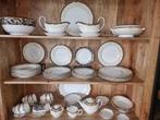 Wedgwood Cornucopia alles los te koop, Ophalen of Verzenden, Zo goed als nieuw, Bord(en), Wedgwood