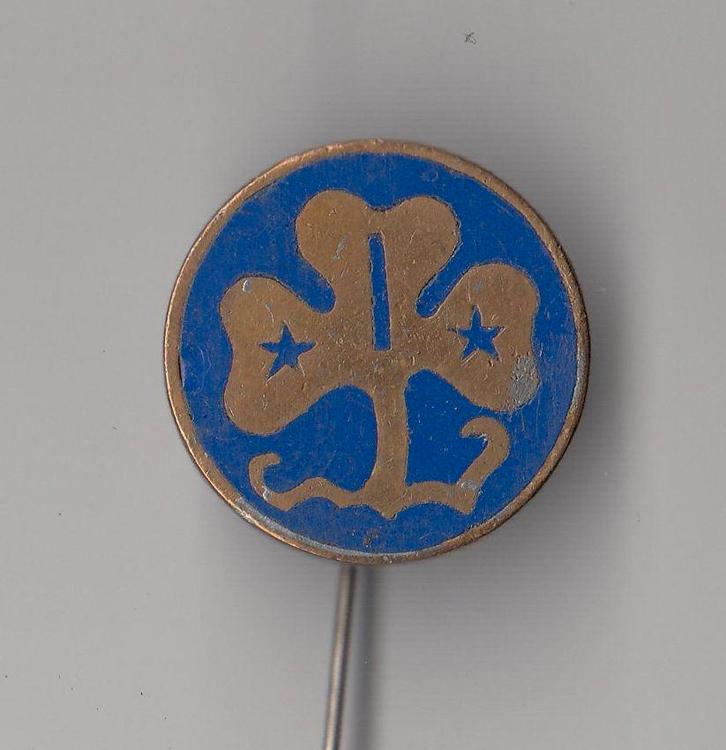 Scouting speldje, Verzamelen, Speldjes, Pins en Buttons, Gebruikt, Speldje of Pin, Overige onderwerpen, Ophalen of Verzenden