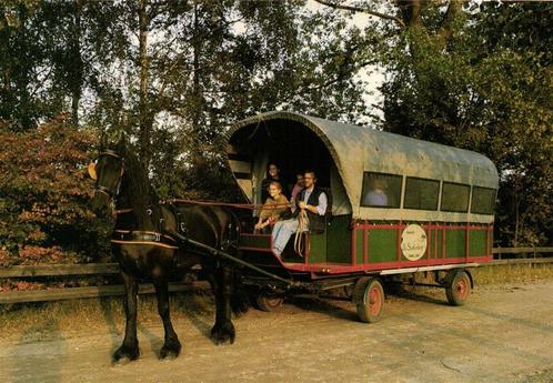 Recreatieboerderij De Suikerberg, Loon op Zand - huifkar - o, Verzamelen, Ansichtkaarten | Nederland, Ongelopen, Utrecht, 1920 tot 1940