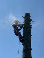 Boomverzorging, Tuinonderhoud, Tuin en Terras, Ophalen of Verzenden, Overige typen