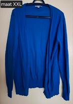 Blauw vestje, Ophalen of Verzenden, Zo goed als nieuw, Maat 46/48 (XL) of groter, Blauw
