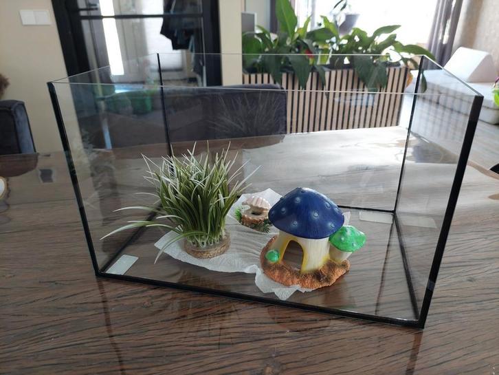 Nieuw aquarium + decoratie, Dieren en Toebehoren, Vissen | Aquaria en Toebehoren, Zo goed als nieuw, Ophalen of Verzenden