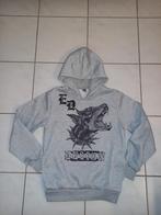 Grijze hoodie met gevoerde capuchon - mt 164, Jongen of Meisje, Trui of Vest, Ophalen of Verzenden, Zo goed als nieuw