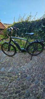 Stella Morena, Vering, Zo goed als nieuw, 57 tot 61 cm, Ophalen