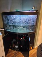 Aquarium hoek juwel met fluval fx 6 pomp en zuurstofpompje, Dieren en Toebehoren, Vissen | Aquaria en Toebehoren, Ophalen, Zo goed als nieuw