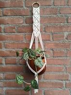 Macramé plantenhanger, Ophalen of Verzenden, Nieuw