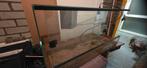 Glazen terrarium 80x40x40, Ophalen, Gebruikt, Terrarium of Paludarium