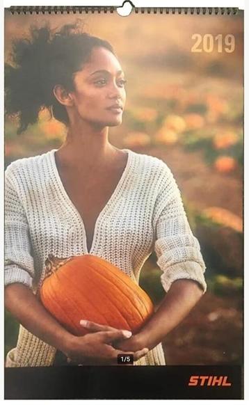 2019 Stihl kalender. beschikbaar voor biedingen