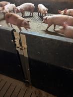 Paneltim hokinrichting [628], Boekhorst Trading, Info@boekhorsttrading.com, Singel 16, Horssen