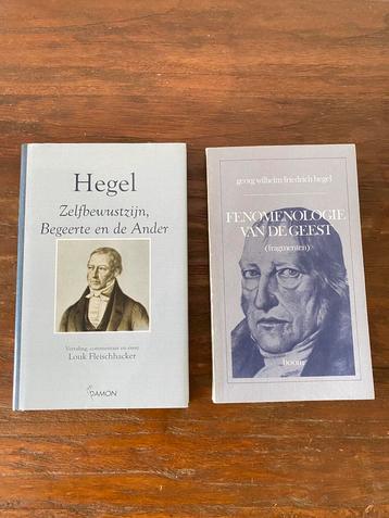 G.W.F. Hegel 2x; 9789055735167; 9060094743
