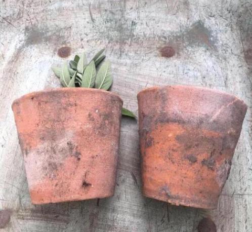 Diverse oude bloempotten stevige dikke Italiaanse potjes, Tuin en Terras, Bloempotten, Gebruikt, Terracotta, Binnen, Balkon, Tuin