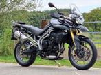 Triumph Tiger 800 ABS, Motoren, Motoren | Triumph, Bedrijf, 3 cilinders, Meer dan 35 kW, 800 cc