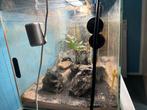 aquarium, Dieren en Toebehoren, Reptielen en Amfibieën | Toebehoren, Ophalen, Zo goed als nieuw