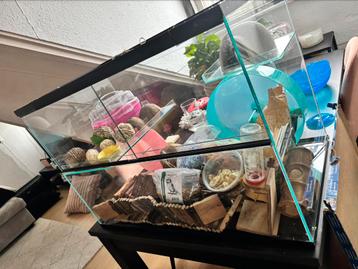 Hamster terrarium, geheel compleet met alle toebehoren beschikbaar voor biedingen