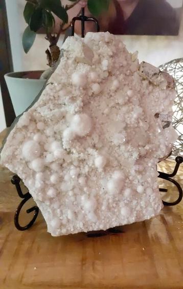 Exclusief, zeldzaam Okeniet met Gyroliet op Chalcedoon beschikbaar voor biedingen