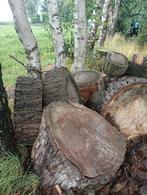 Haardhout, afgelopen winter gezaagd., Tuin en Terras, Haardhout, 6 m³ of meer, Ophalen, Overige houtsoorten, Stammen