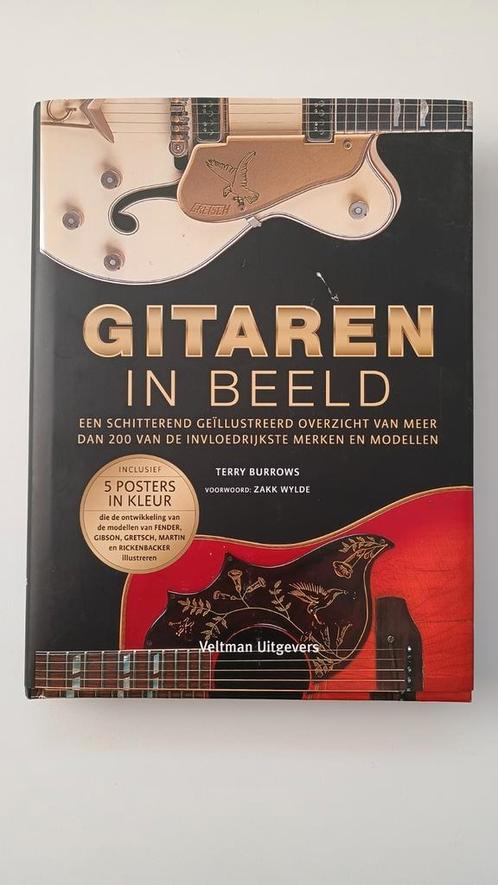 Terry Burrows - Gitaren in beeld, Boeken, Hobby en Vrije tijd, Zo goed als nieuw, Tekenen en Schilderen, Ophalen of Verzenden