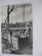 8881 Brabants dorpsleven,, Verzenden