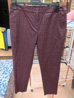Geklede broek nieuw print terracota Natan mt 42, Overige kleuren, Maat 42/44 (L), Nieuw, Ophalen of Verzenden