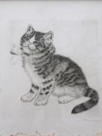Originele ets van kat / poes met strik / Ebersbach 1822-1900, Antiek en Kunst, Kunst | Etsen en Gravures, Ophalen of Verzenden