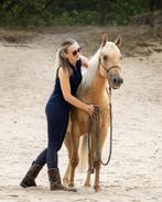 24/7 buiten/paddock paradise stalling gezocht!, Weidegang, 2 of 3 paarden of pony's