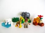 duplo baby zoo of kleine dierentuin 4962, Kinderen en Baby's, Speelgoed | Duplo en Lego, Ophalen of Verzenden, Zo goed als nieuw