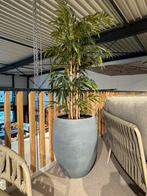 Kunstboom met polyester pot, Ophalen of Verzenden, Nieuw