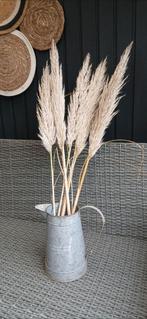 Pluimen, Ophalen of Verzenden