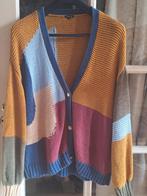 Caroline Biss Kleurrijk Vest, Maat 38/40 (M), Overige kleuren, Ophalen of Verzenden, Zo goed als nieuw