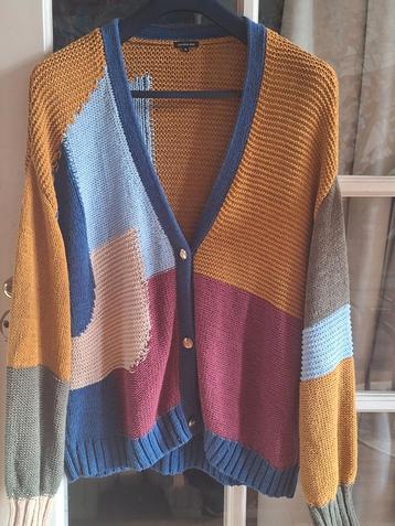 Caroline Biss Kleurrijk Vest beschikbaar voor biedingen