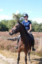 Super fijne pony, Dieren en Toebehoren, Pony's, B, Ruin, Dressuurpony, 3 tot 6 jaar