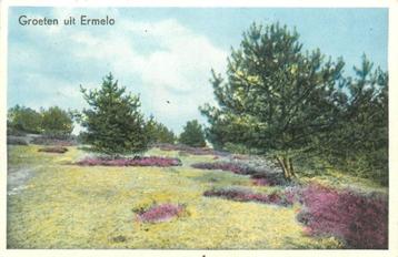 (387-219-037) Ermelo Groeten uit beschikbaar voor biedingen