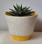 Vintage Adco bloempot Geel Wit Craquelé, Tuin en Terras, Gebruikt, Rond, Binnen, Ophalen of Verzenden