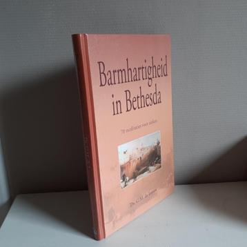 Ds. G.M. de Leeuw. Barmhartigheid in Bethesda. beschikbaar voor biedingen