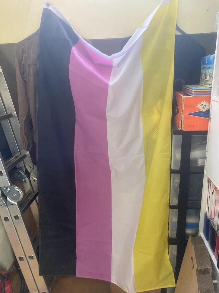 regenboog- non-binaire panseksuele vlaggen vlaggetjes, Diversen, Vlaggen en Wimpels, Ophalen of Verzenden