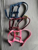 Shetlander/Veulen halsters, Dieren en Toebehoren, Paarden en Pony's | Hoofdstellen en Tuigage, Ophalen of Verzenden, Nieuw