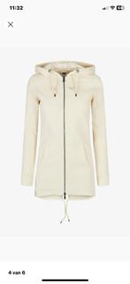 Vest Urban Classis M ** ongedragen = nieuw, Kleding | Dames, Truien en Vesten, Ophalen of Verzenden, Nieuw, Maat 38/40 (M)