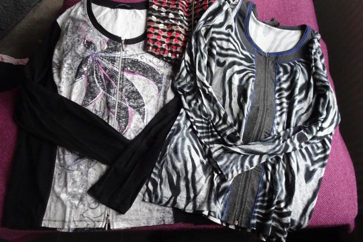 3 vestjes met rits maat L, Kleding | Dames, Truien en Vesten, Zo goed als nieuw, Maat 42/44 (L), Overige kleuren, Ophalen