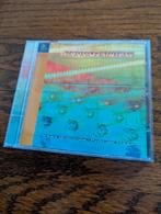 Canto Ostinato - Kees Wieringa & Polo de Haas, Cd's en Dvd's, Ophalen of Verzenden, Zo goed als nieuw