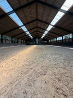Stalling vrij voor 1 of 2 ruinen, Dieren en Toebehoren, Stalling en Weidegang, Weidegang, 1 paard of pony